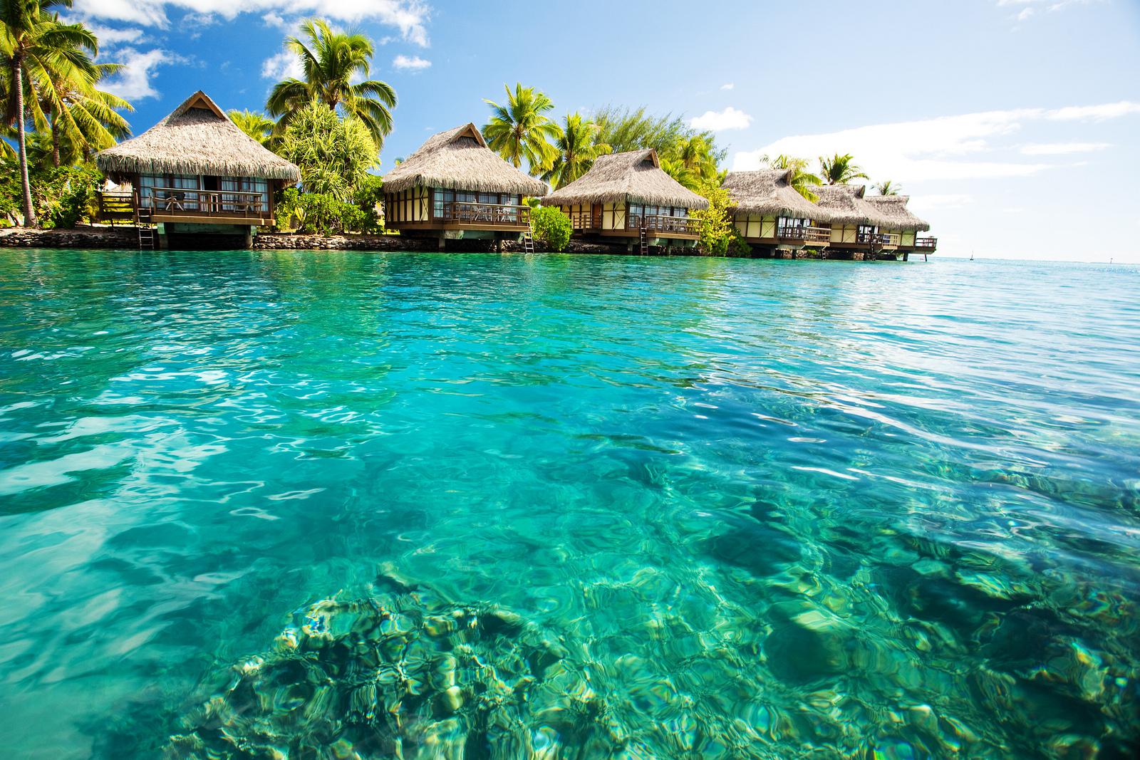 Coral reef at moorea island - (#147698) - High Quality and ...