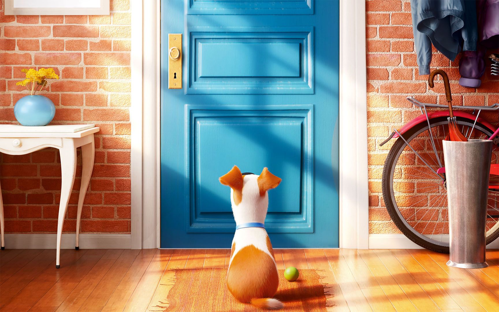 The Secret Life of Pets Animated Movie Wallpaper - DreamLoveBackgrounds