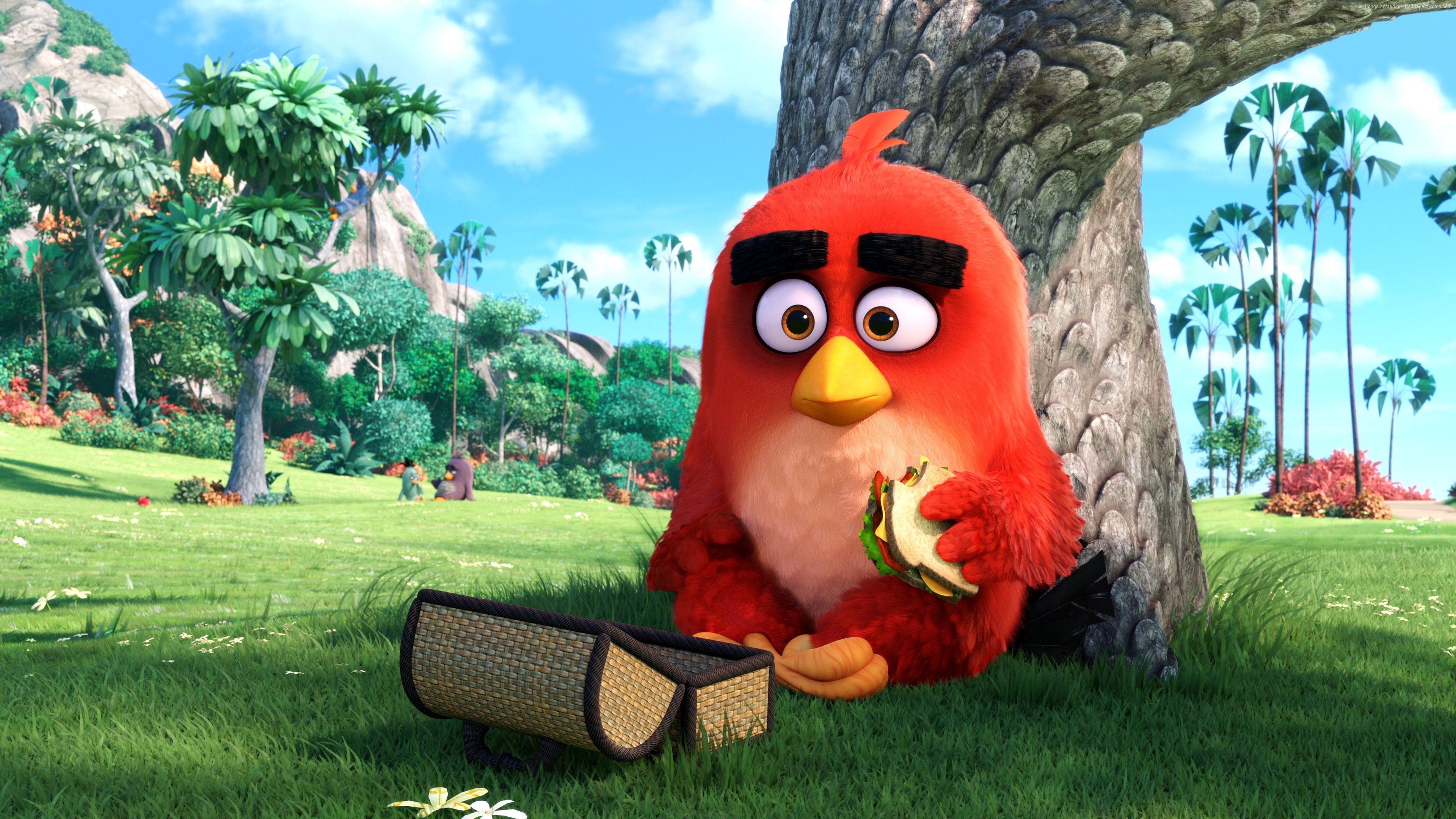 Angry Birds Movie Wallpaper, Movies / Animation: Angry Birds Movie ...