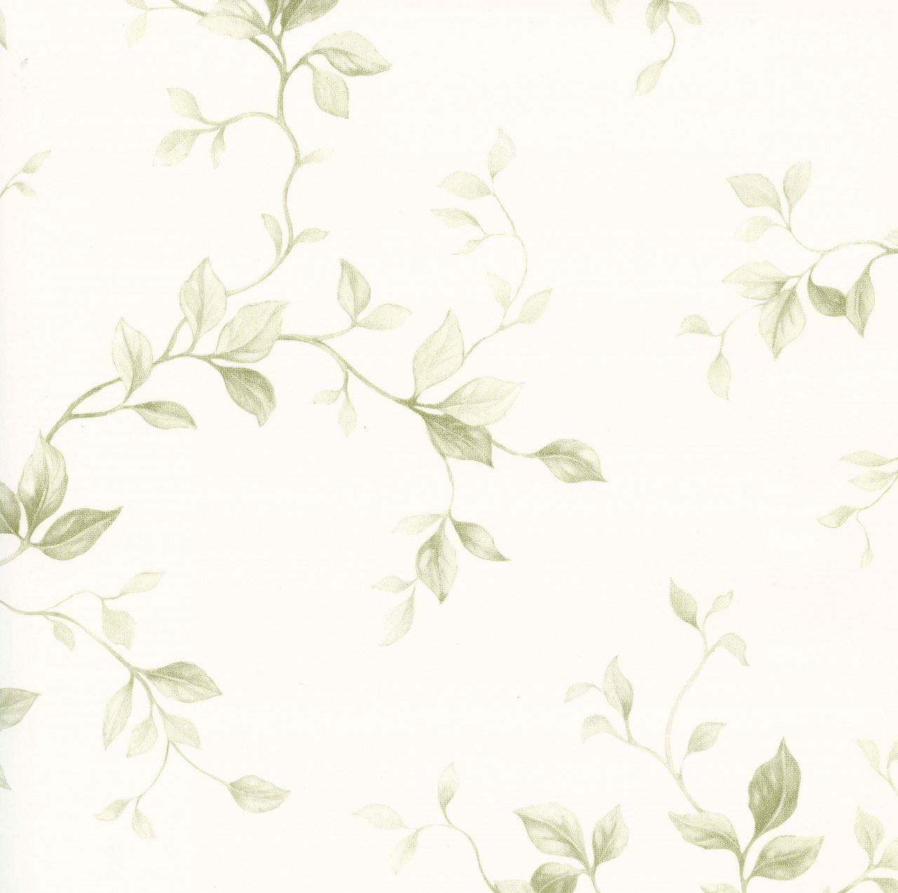 White On Green Leaf Ivy Toile Wallpaper By Chesapeake