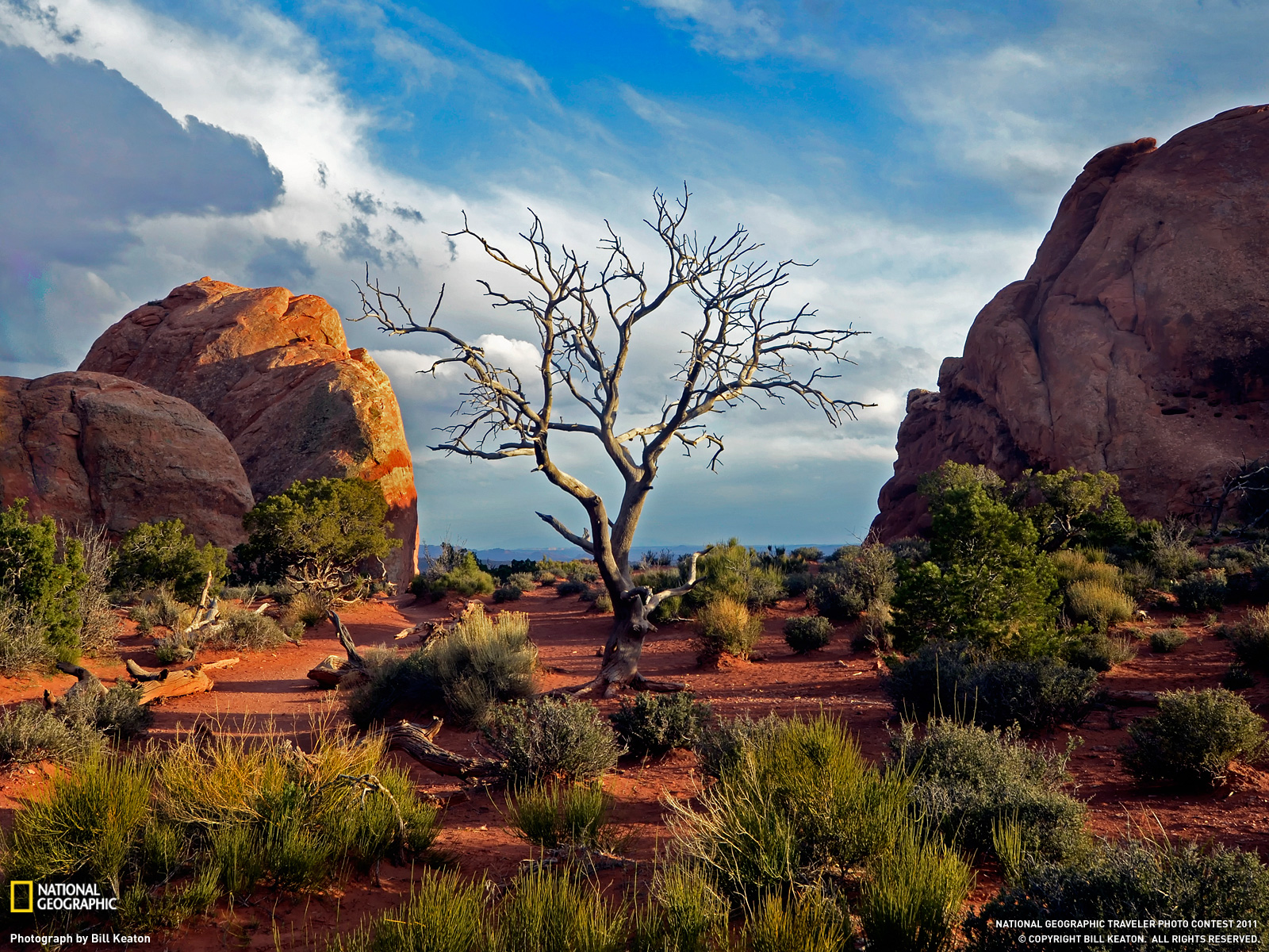 Arches National Park Picture – Travel Wallpaper - National ...