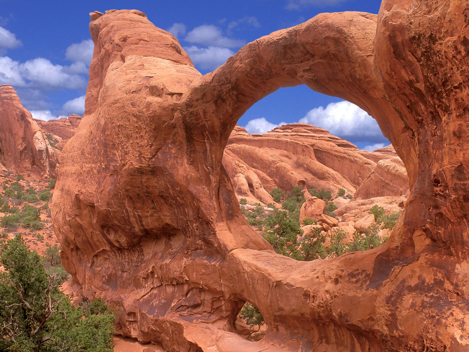 Utah National Parks HD - wallpaper.