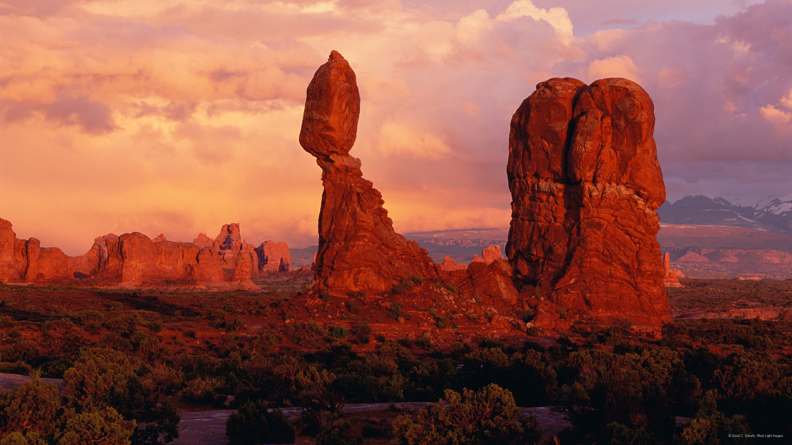 Wallpaper: Arches National Park | AAAS MemberCentral