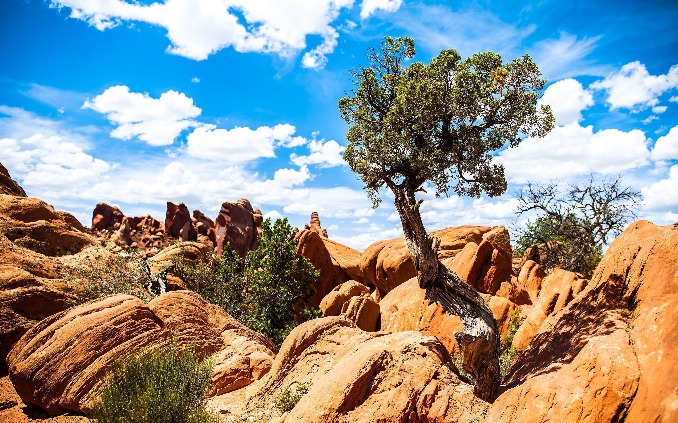 Arches National Park Wallpapers | HD Wallpapers