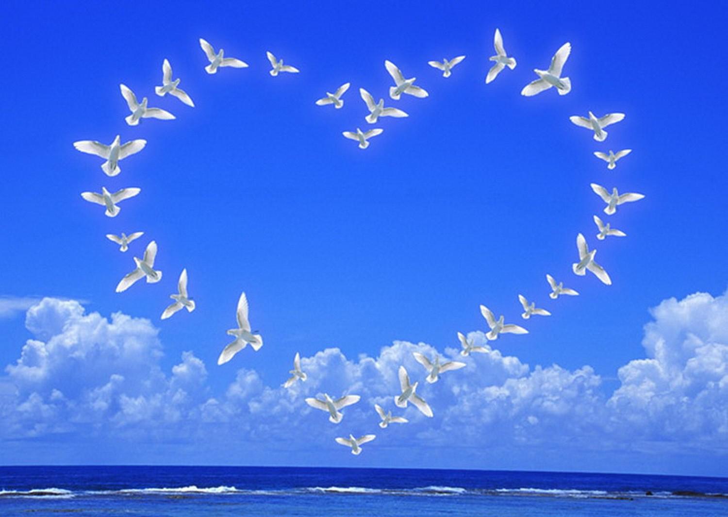 Love and peace - (#105012) - High Quality and Resolution ...