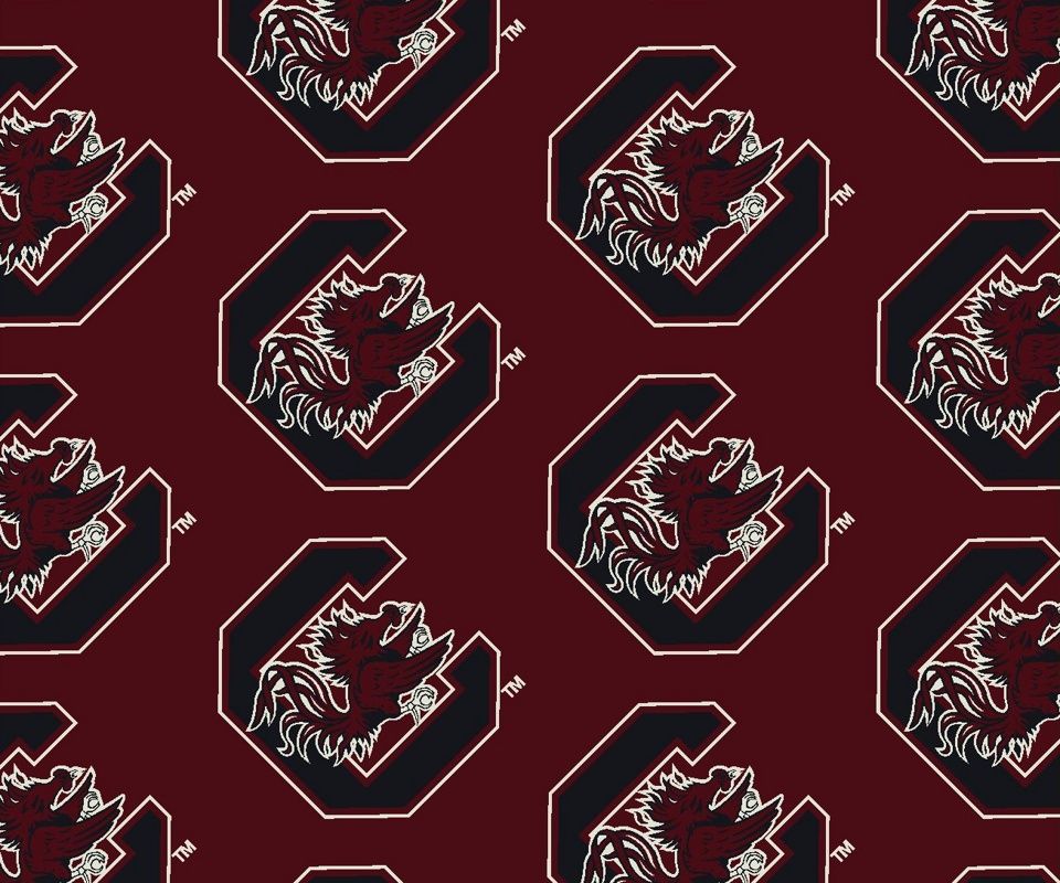 Usc Gamecocks athletes wallpaper for Android download free