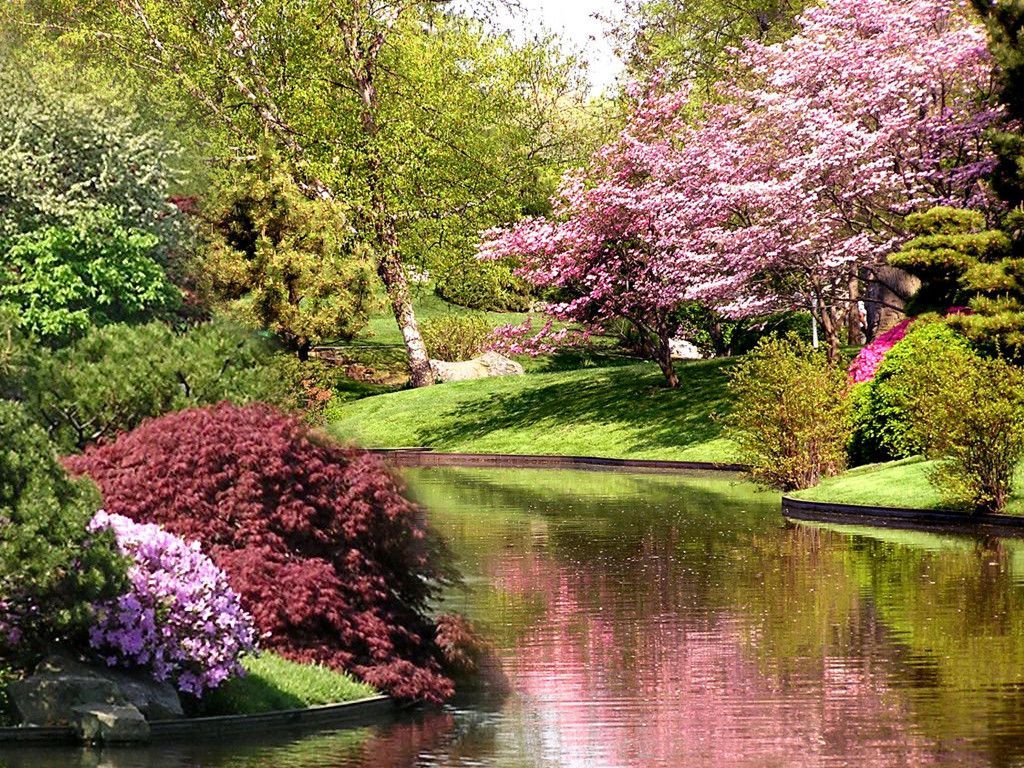 Springtime Pictures For Desktop - HD Wallpapers Lovely