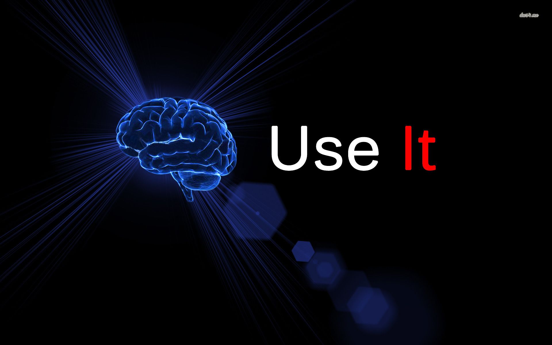Use your brain wallpaper - Typography wallpapers -
