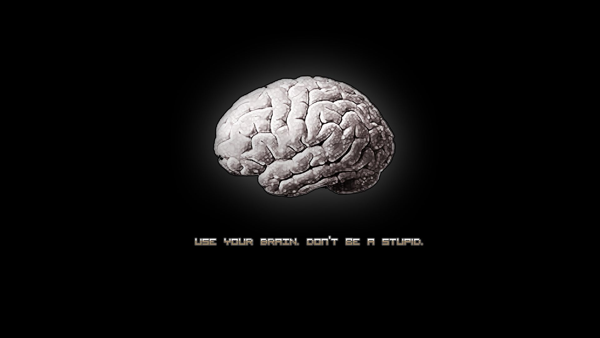 Use your brain wallpapers and images - wallpapers, pictures, photos