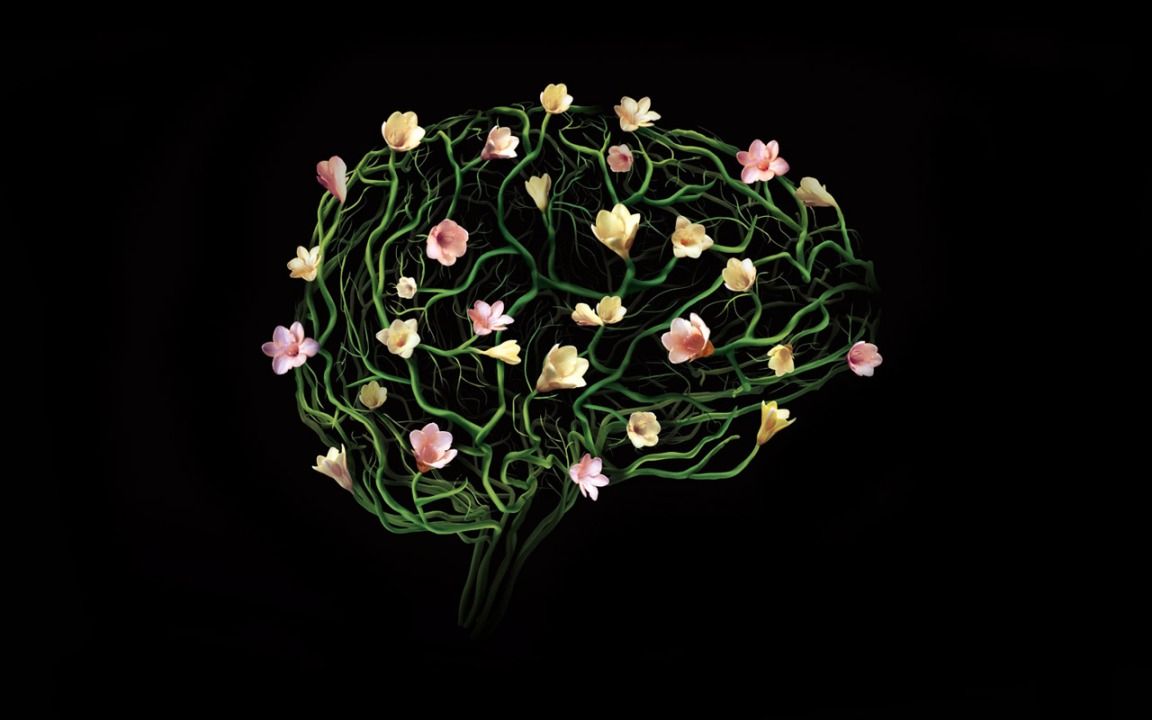 Flower-Brain-1152x720-wide-wallpapers.net_.jpg