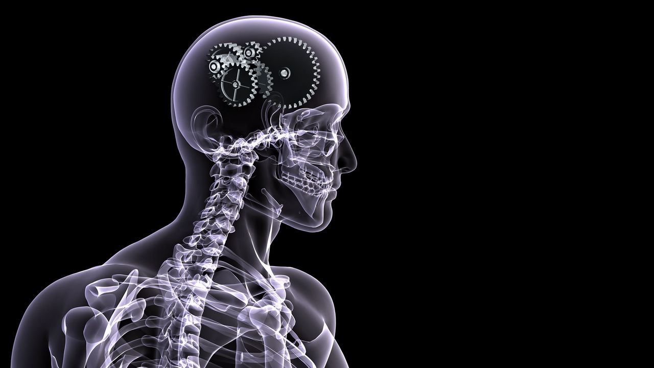 1280x720 gears, brain, skeleton, people, x-ray, black background ...