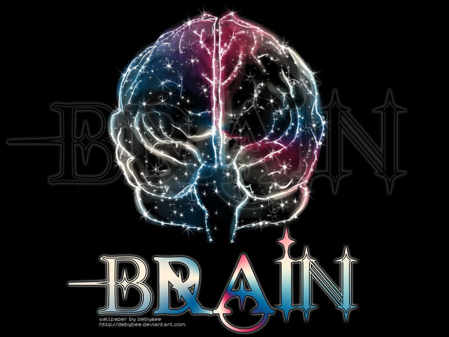 Brain HD Wallpaper : 6 Brain Wallpaper Pictures | Biological ...
