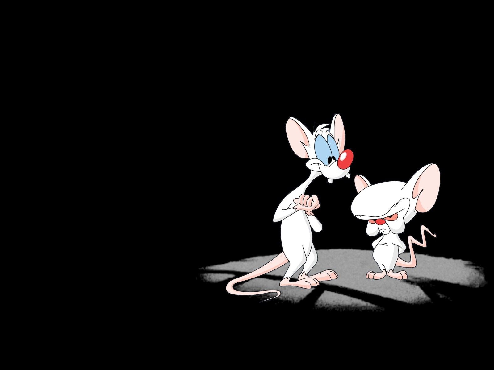 Pinky and the Brain HD Wallpapers and Backgrounds