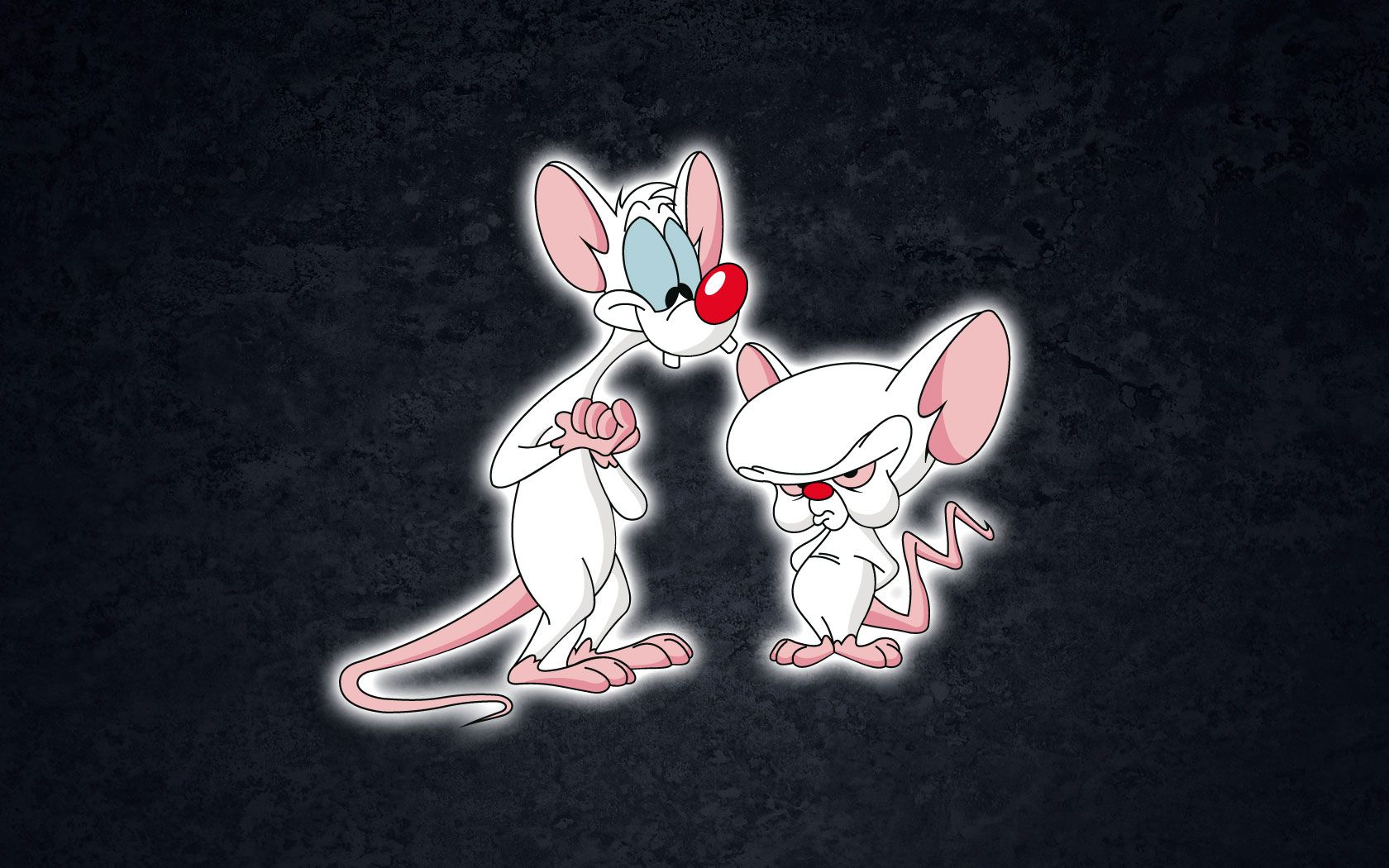 Pinky-and-the-Brain-Wallpapers-HD.jpg