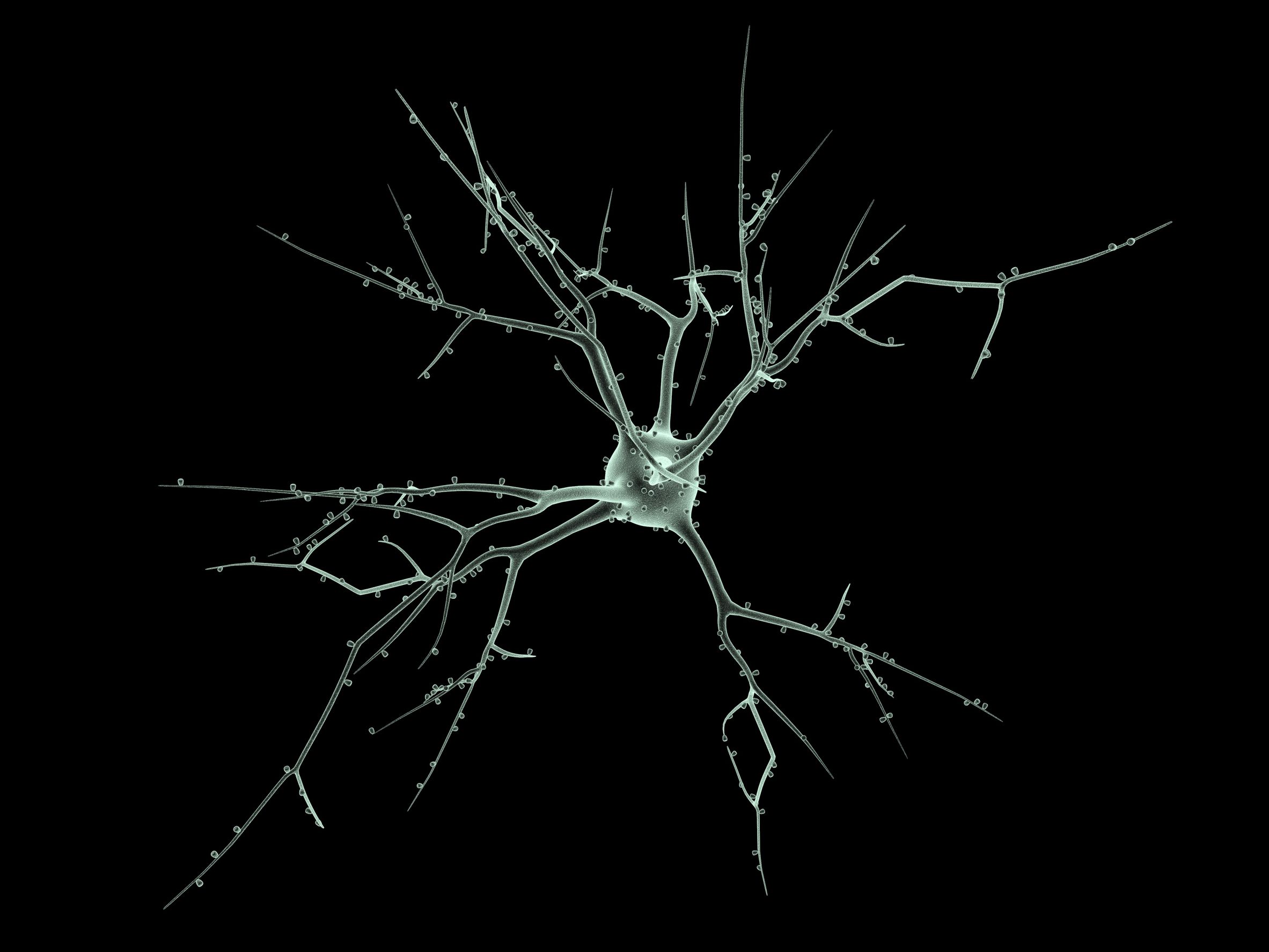 Gallery for - brain neuron wallpaper