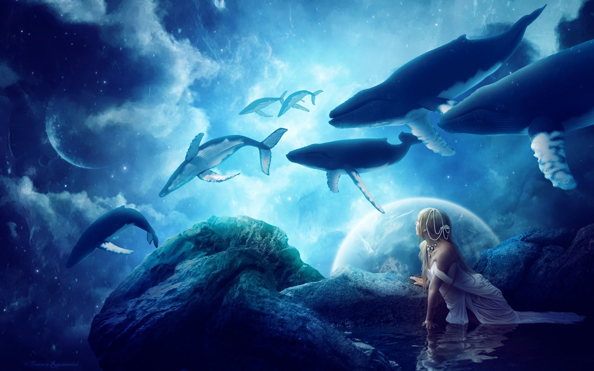 Whales Dream Wallpapers | HD Wallpapers