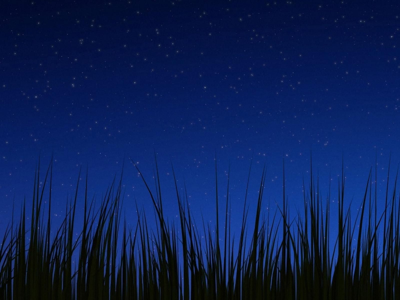 Android 3.0 night wallpaper wallpapers | Android 3.0 night ...