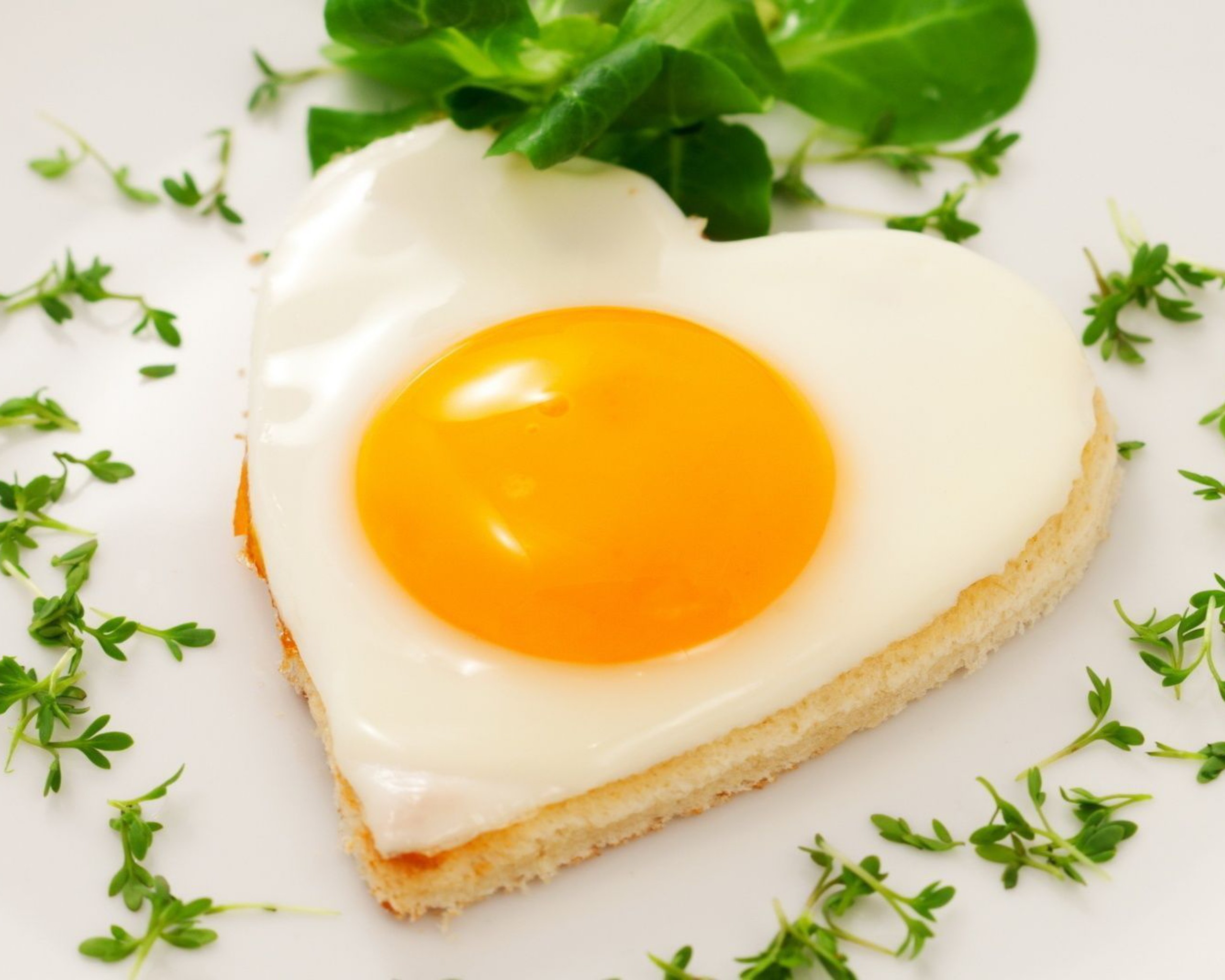 Fried Egg HD Wallpapers