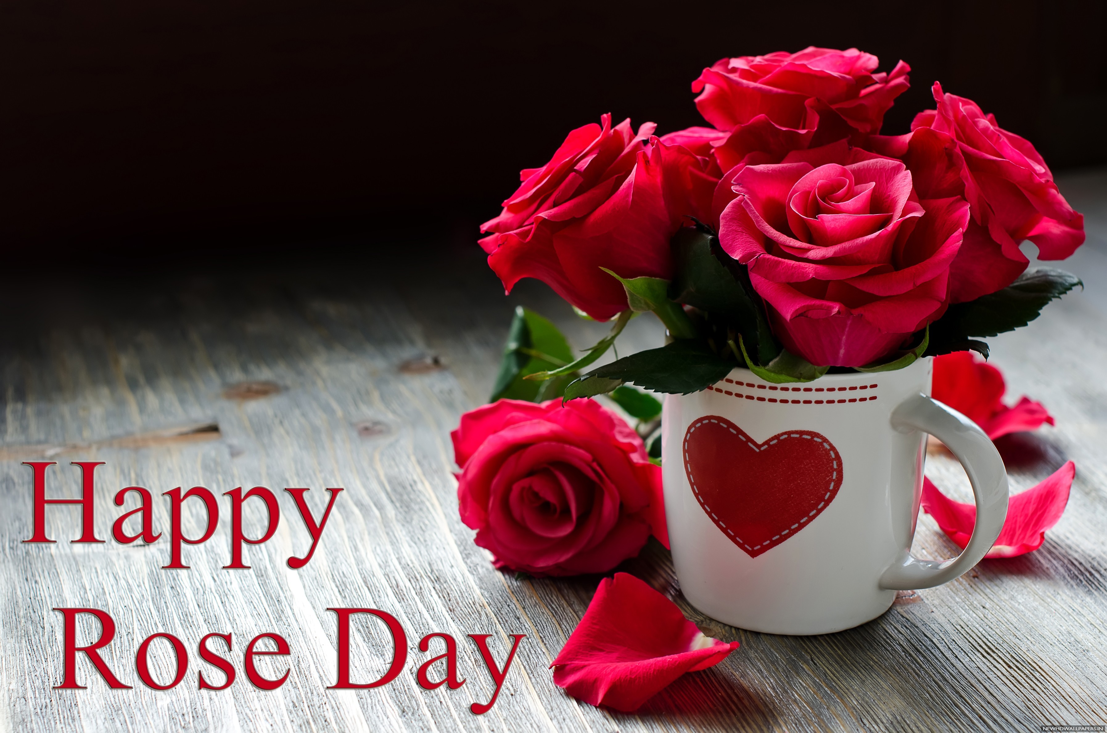Rose Day Sweet HD Wallpapers - HD Good Evening Images, Pictures ...