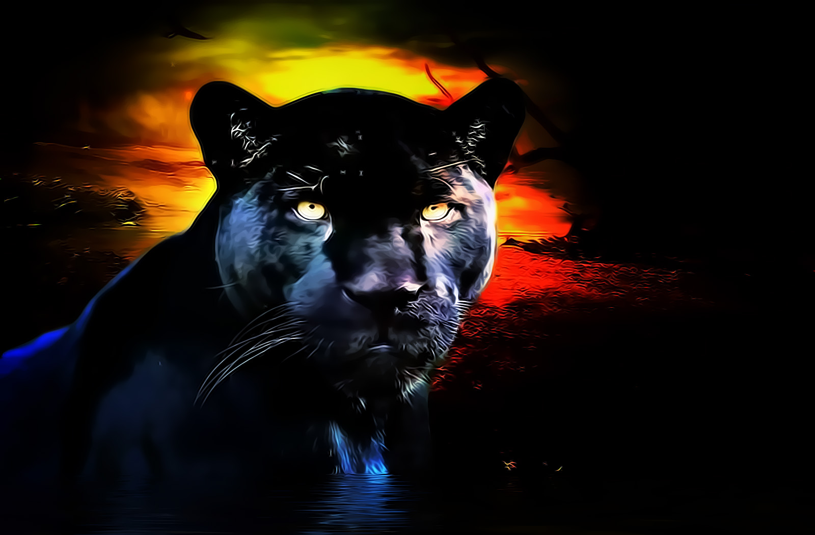 Wallpapers Animals Black Panther Animal Wallpaper HD Pix