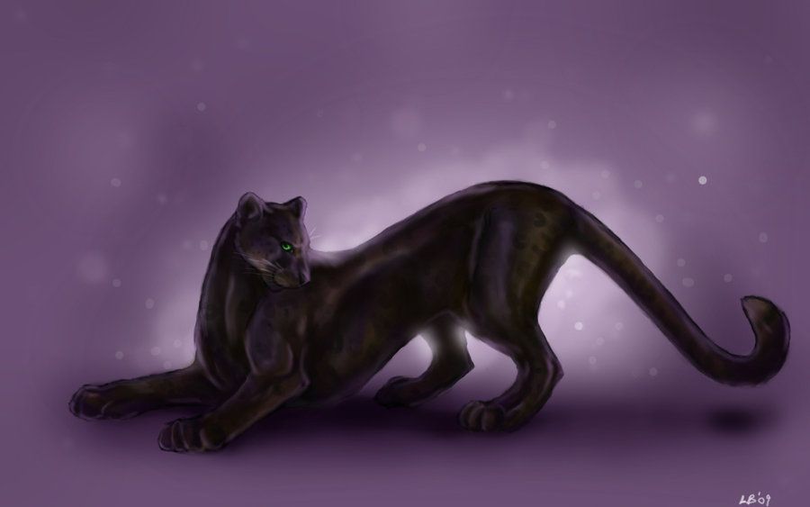 Panther Wallpaper by Puppy-Chow on DeviantArt