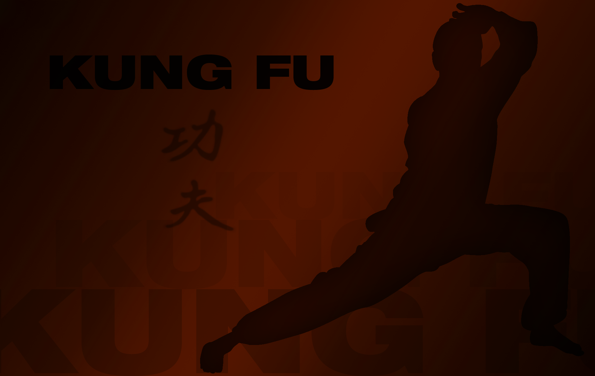 54 Martial Arts HD Wallpapers | Backgrounds - Wallpaper Abyss