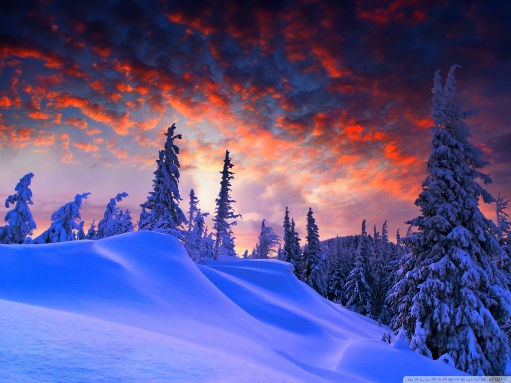 Winter Christmas HD desktop wallpaper : Widescreen : High ...