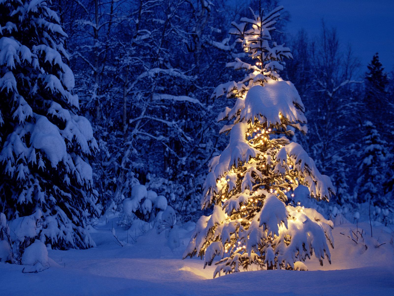 2234 Christmas HD Wallpapers | Backgrounds - Wallpaper Abyss