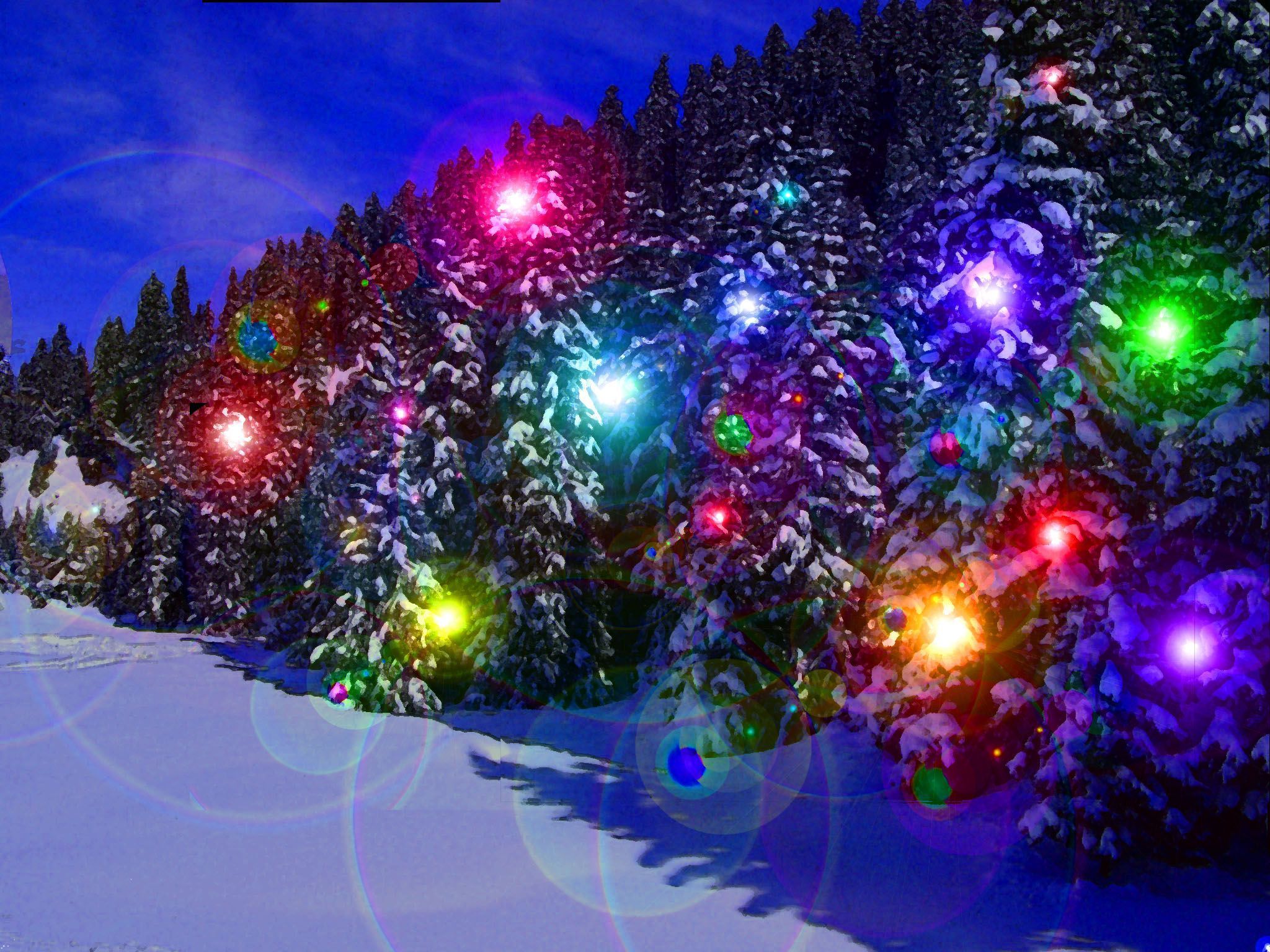 The gallery for --> Winter Christmas Lights Background