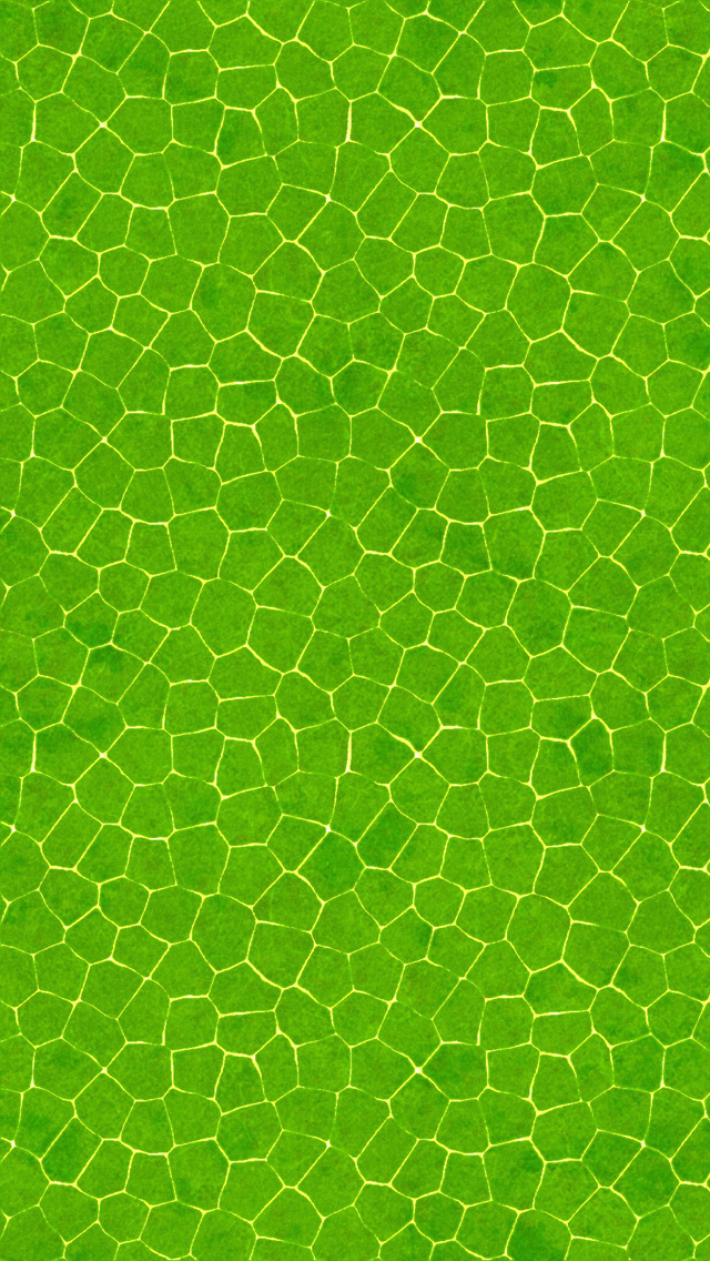 Green background iPhone 5 wallpapers | Top iPhone 5 Wallpapers.com