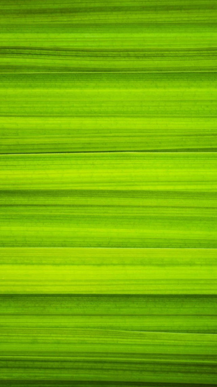 Simple Green iPhone 6 Wallpapers | HD iPhone 6 Wallpaper