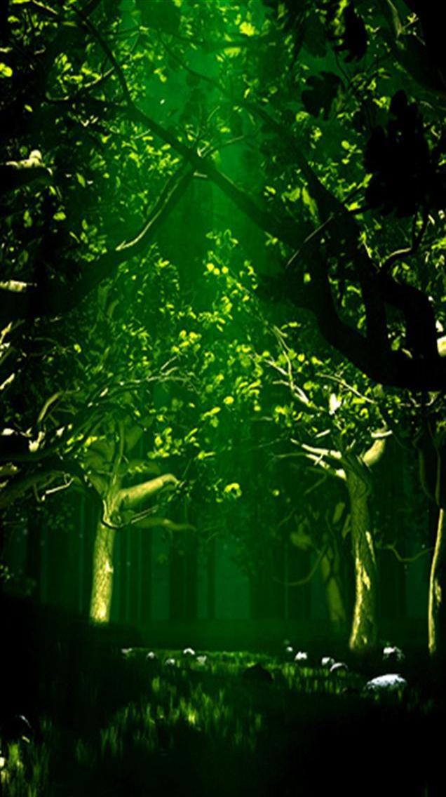 Green Forest iPhone Wallpapers, iPhone 5(s)/4(s)/3G Wallpapers