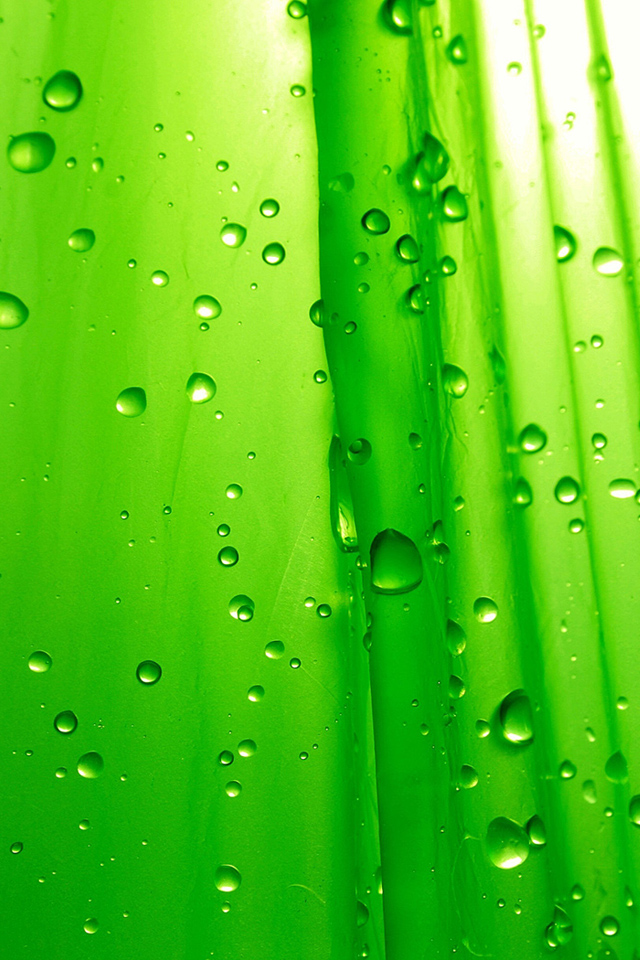 Green Drops iPhone 4s Wallpaper Download | iPhone Wallpapers, iPad ...