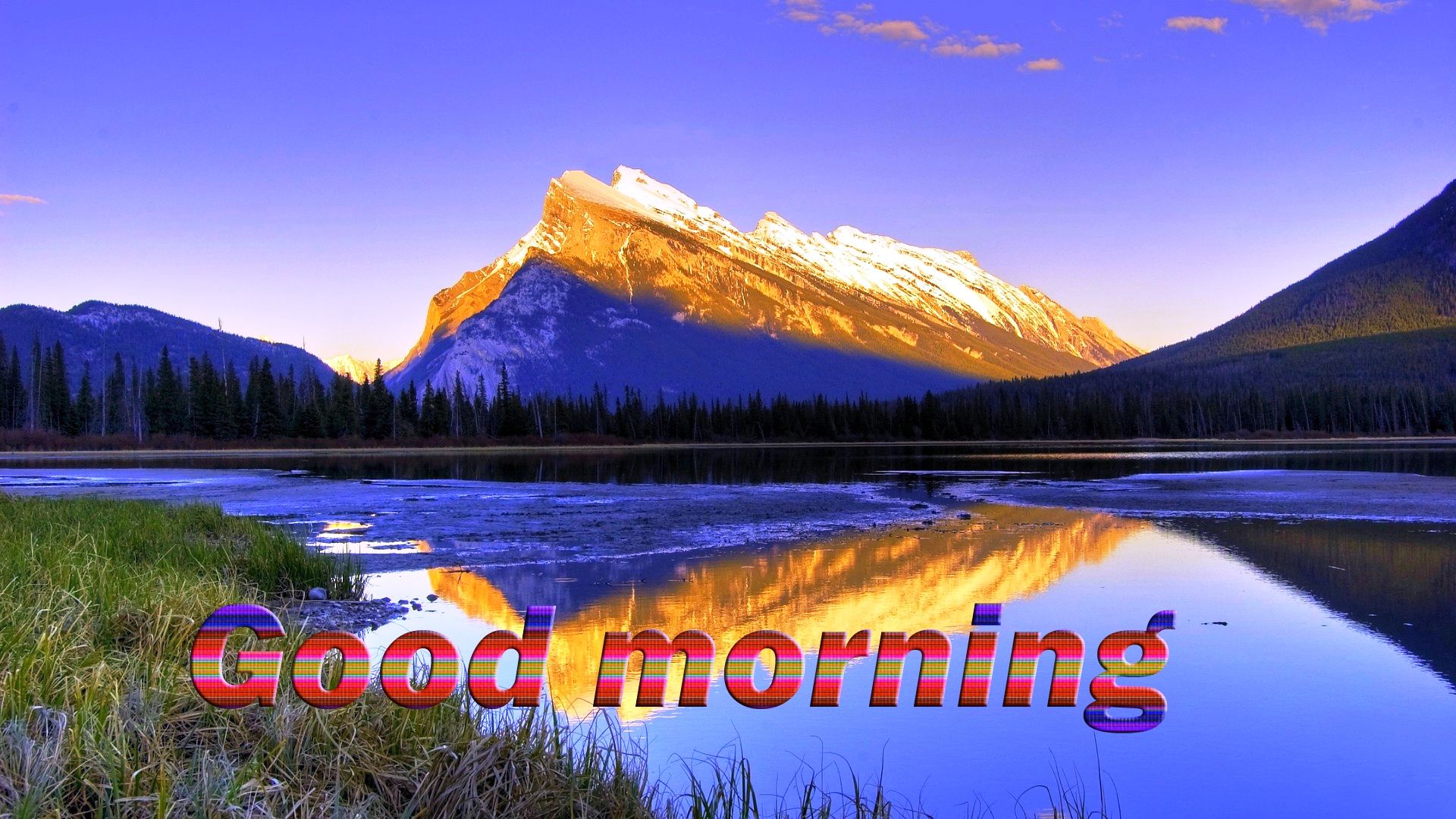 Best Good Morning Wallpapers Free Download 