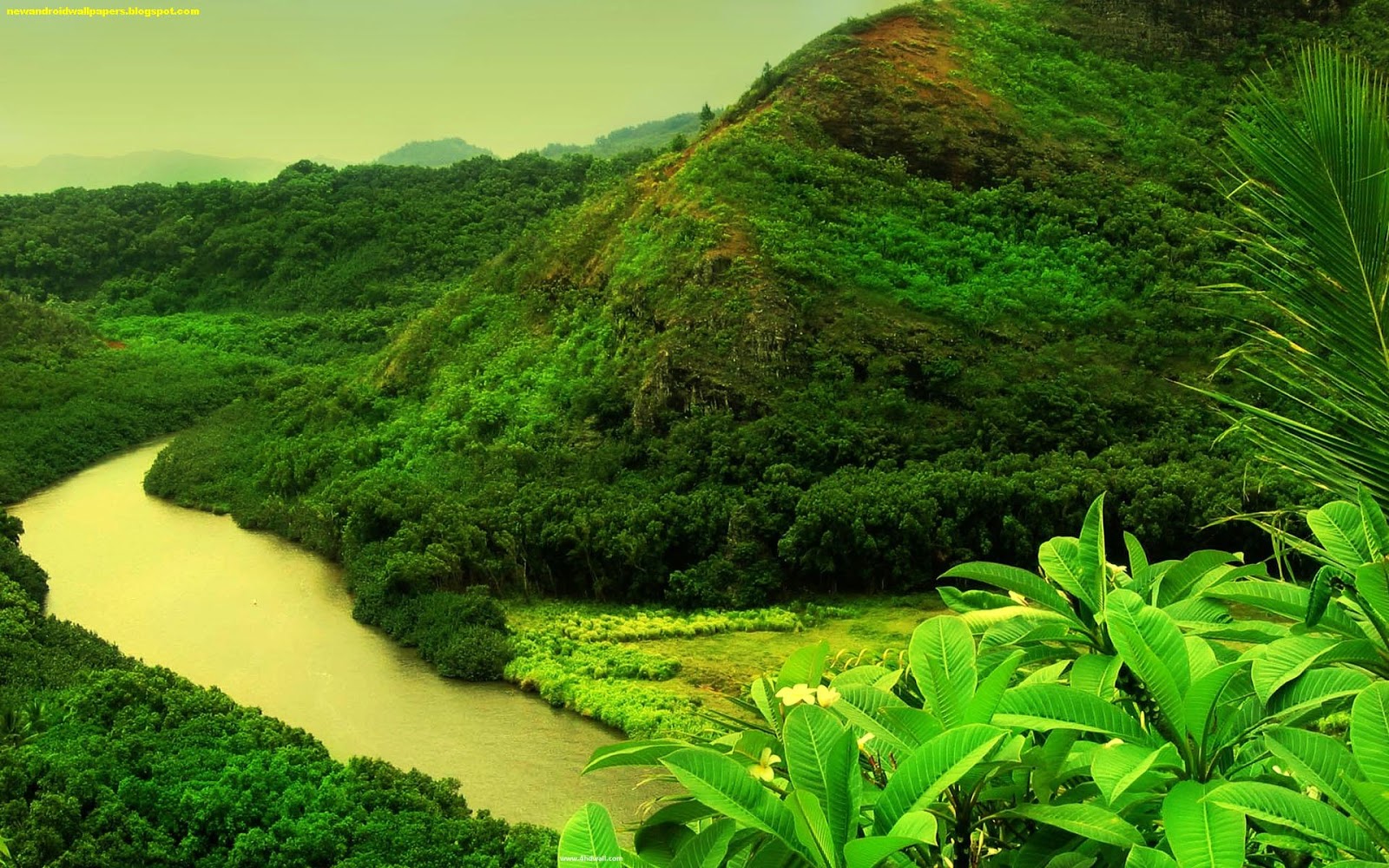 Hd nature wallpapers for android phones free download ...