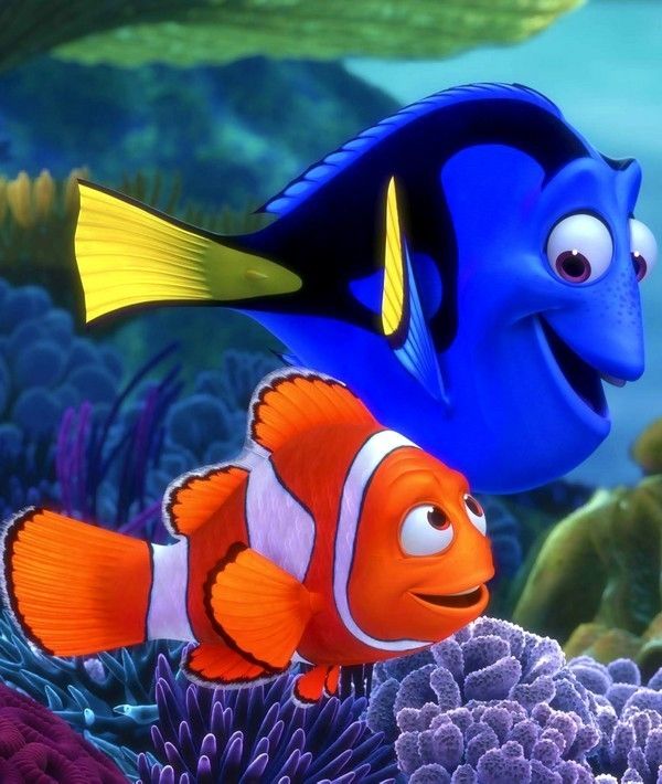 Nemo hd wallpapers for android mobile phones free download