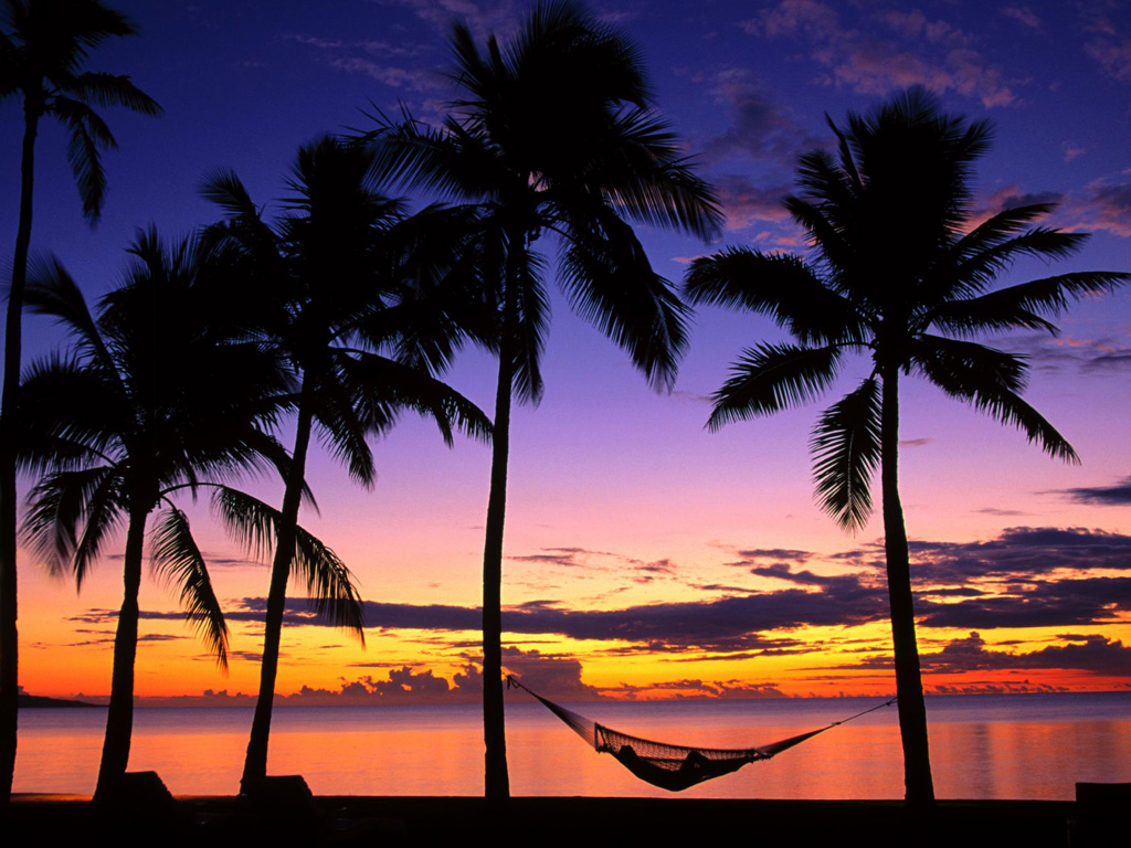 Beach Vacation - Palm trees on the beach 1024x768 NO.14 Desktop