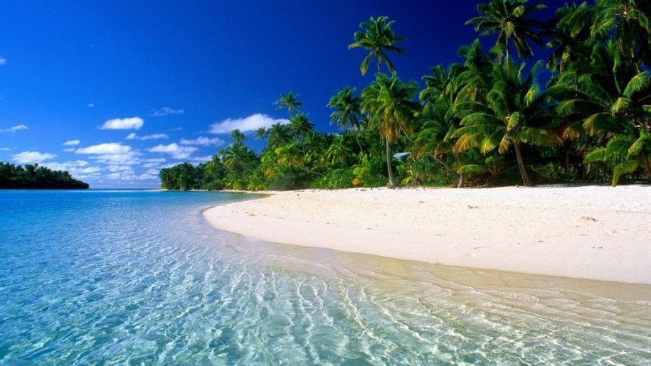 Landscapes,beautiful Beach With Sand, Green Palm Trees, Clear Sea