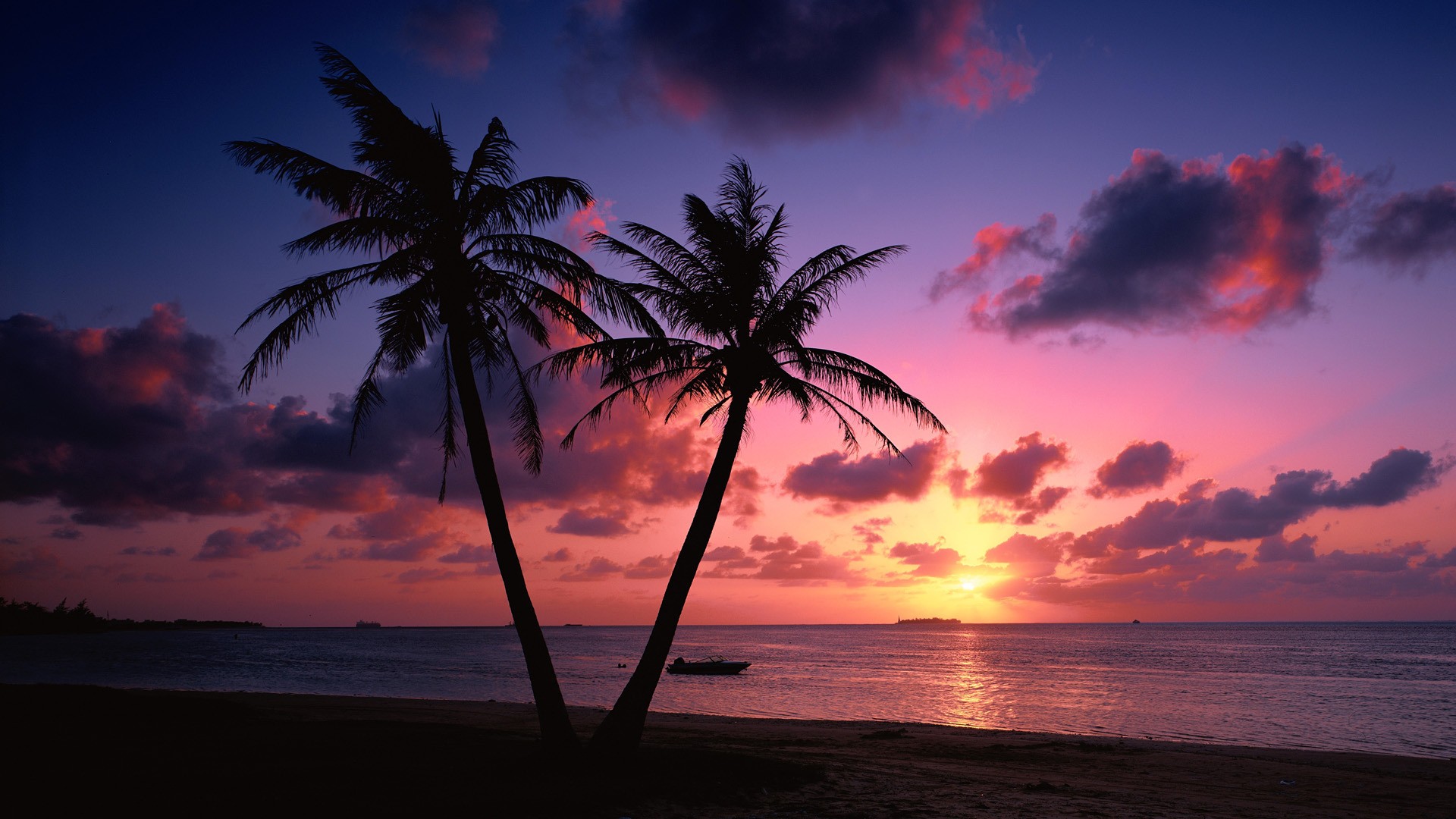 Beach Sunset With Palm Trees - wallpaper.