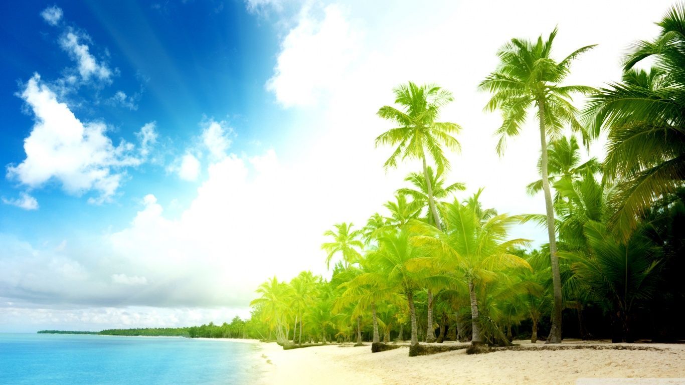 Palm Trees Beach HD desktop wallpaper : High Definition ...