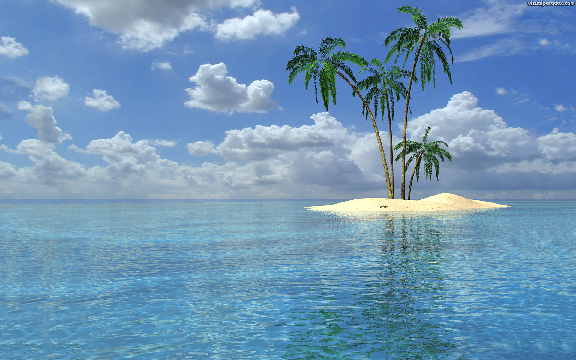 wallpaper Palm Trees 3D Beach Wallpaper Desktop | hdwallpapera