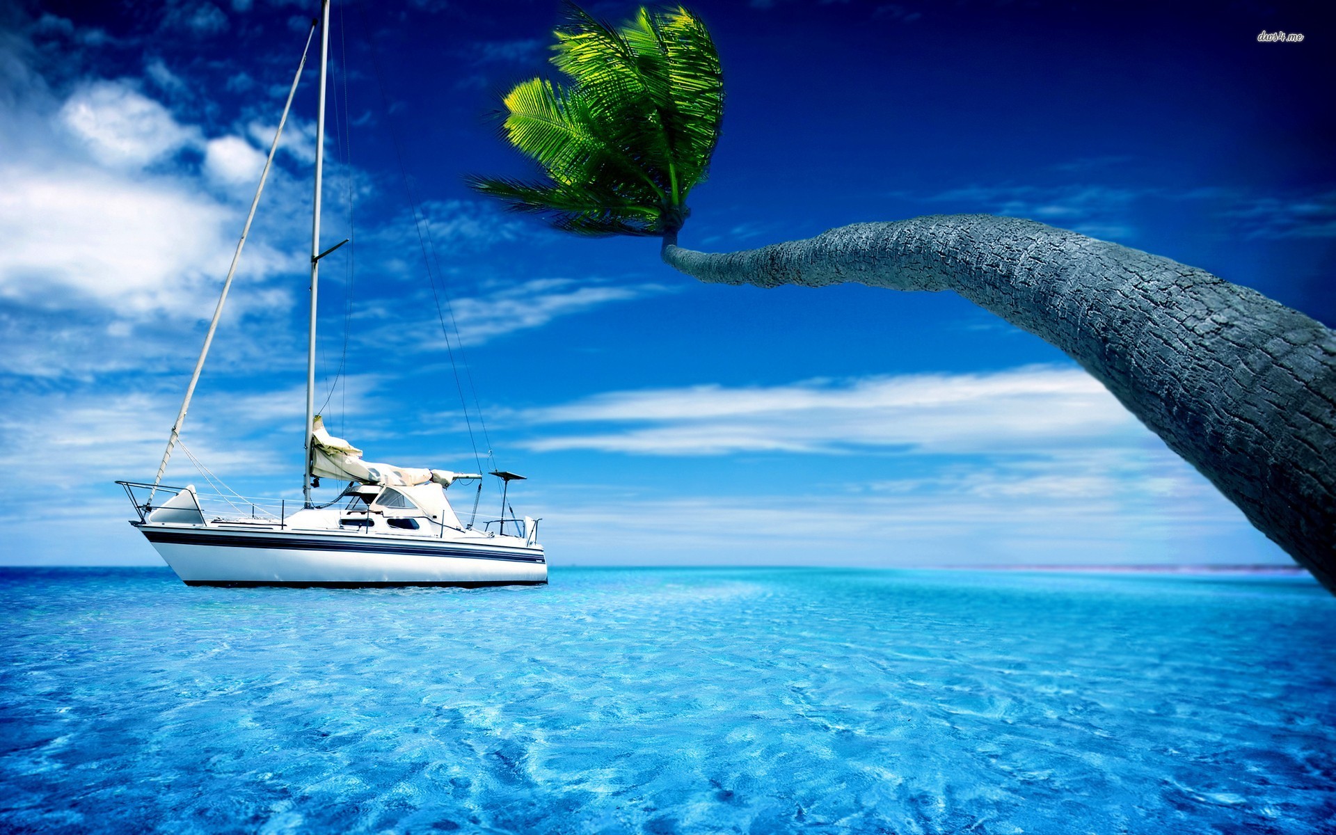 palm tree and boat | Desktop Backgrounds for Free HD Wallpaper ...