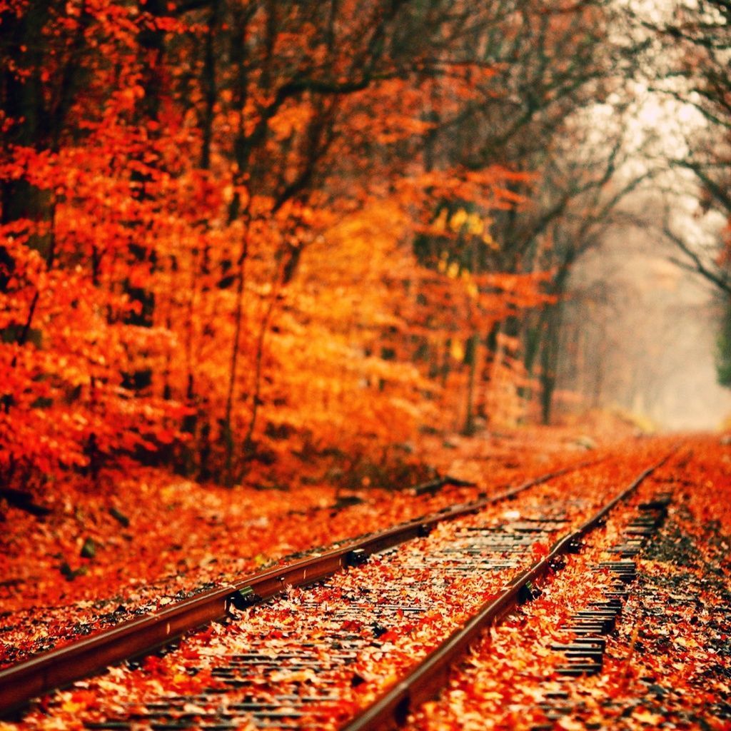 Colorful Fall wallpapers of the week