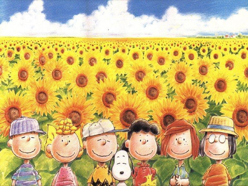 peanuts in sunflower meadow - Peanuts Wallpaper (6273371) - Fanpop