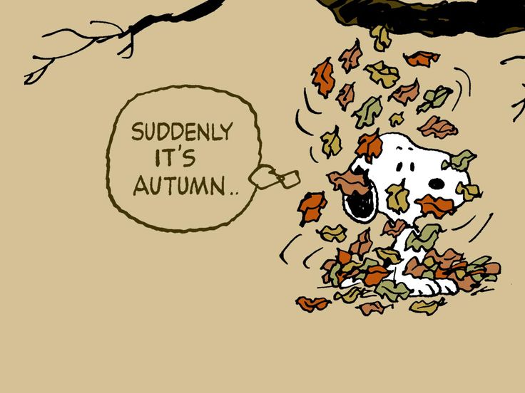 Suddenly it's Autumn | Peanuts | Pinterest | Suddenly, Peanuts ...