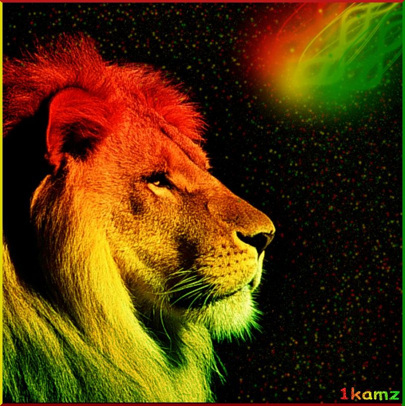 lion with dreads wallpaper