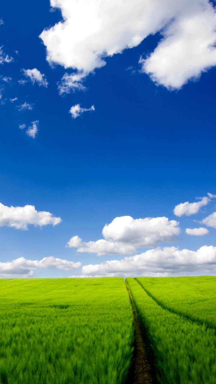 Download Wallpaper 720x1280 Road, Greens, Grass, Sky, Clouds