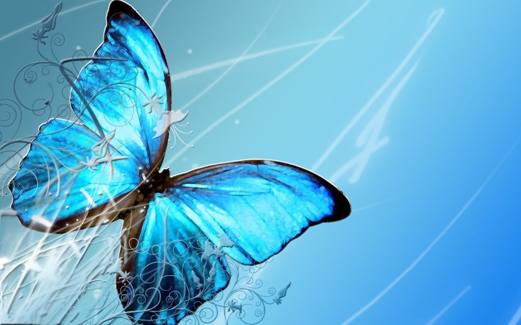 Blue Butterfly HD Background | Download HD Wallpapers
