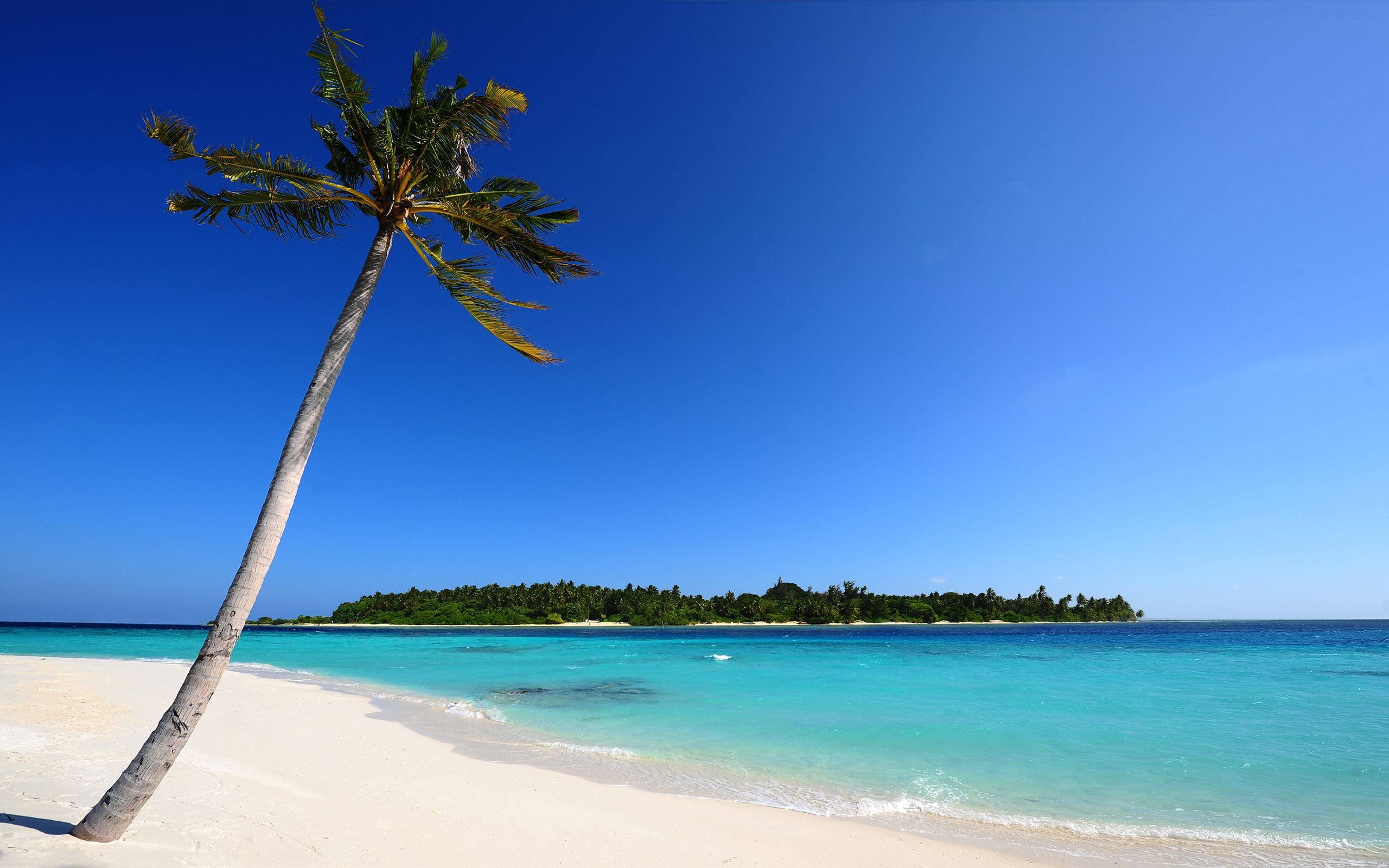 Background beach images free