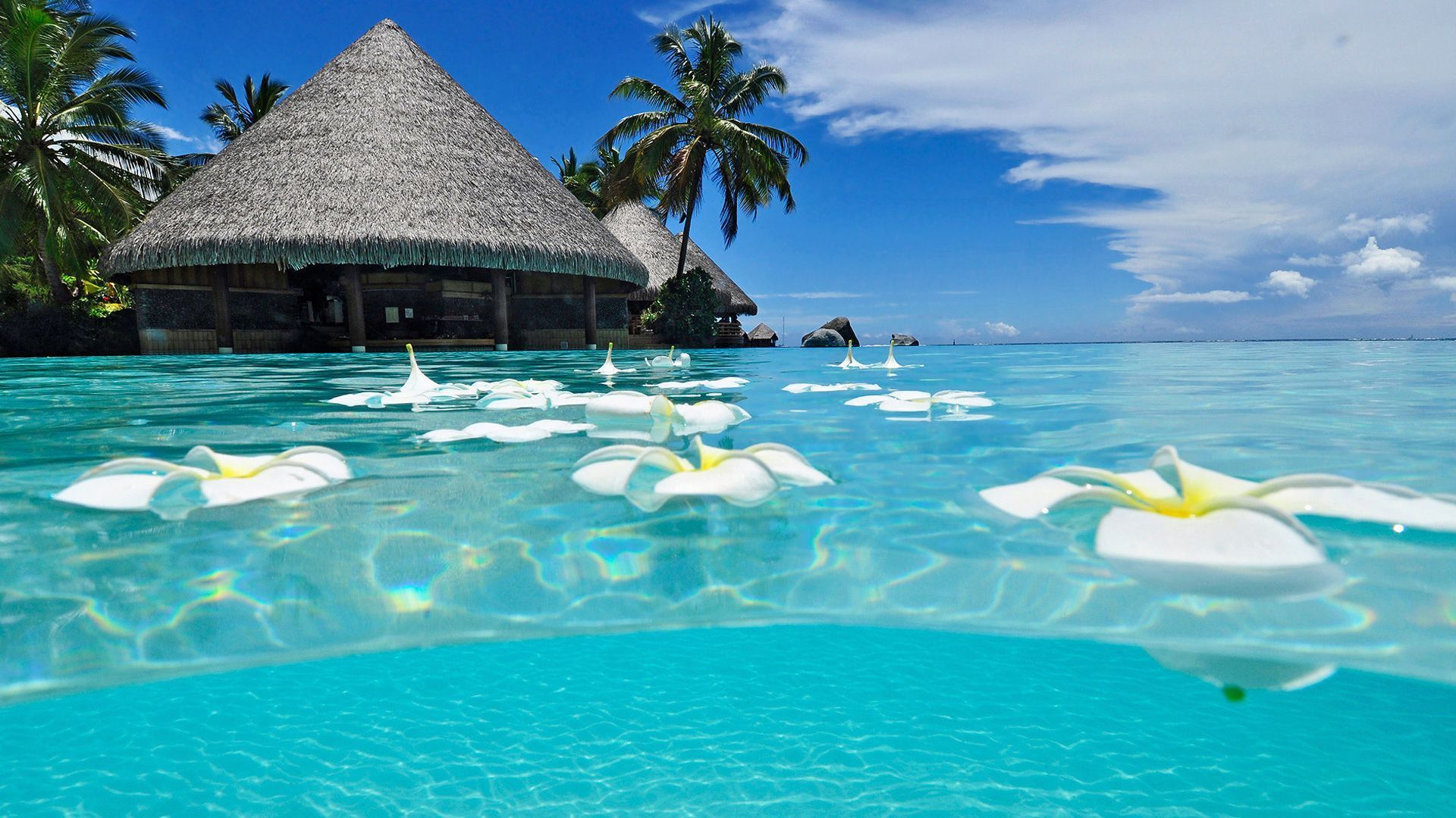 Paradise-Beach-Desktop-Wallpapers.jpg